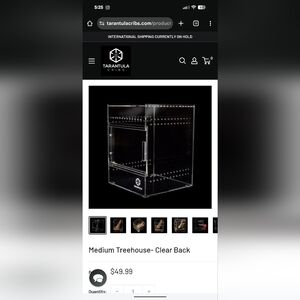 Tarantula Cribs - Treehouse (Set of 2)